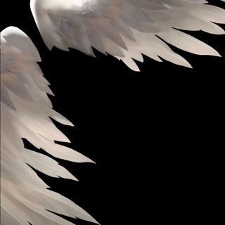 Telegram profile photo for ⋆ ♱ m1llcent ⋆