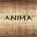 Telegram profile photo for AnimA