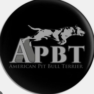 Telegram profile photo for A.P.B.T-Карасай
