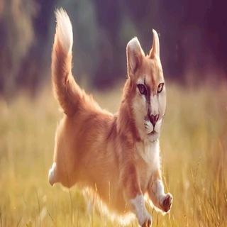 Telegram profile photo for плесенб сквад🪼 рест бесконечный……..