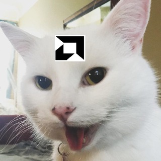 Telegram profile photo for AMD CAT Check
