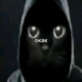 Telegram profile photo for kobelek moment's