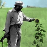 Telegram profile photo for ( عاشقی به سبک دکتر چمران )