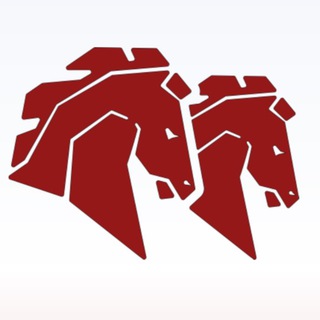 Telegram profile photo for Мясо Оптом | ЭлитГрупп | Меркадор