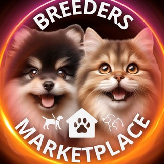 Telegram profile photo for Тварини Україна 🇺🇦 | Купити цуценя, кошеня | Продаж