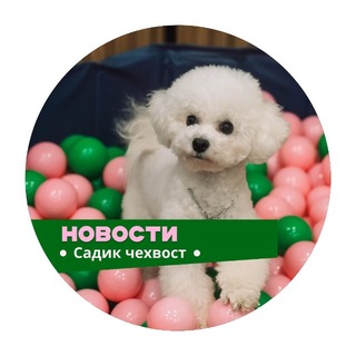 Telegram profile photo for Садик для собак Чехвост Самара🐾