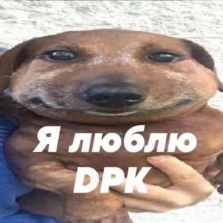 Telegram profile photo for Dpk на хую