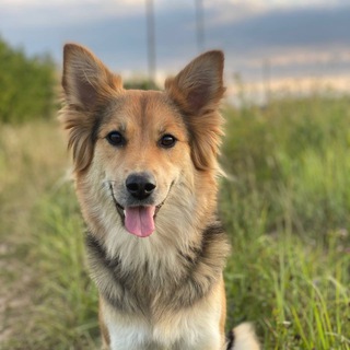 Telegram profile photo for Виды плетений их цена