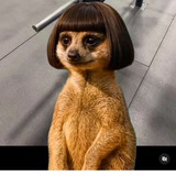 Telegram profile photo for Виссарион вещает