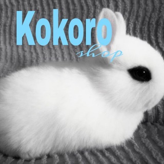 Telegram profile photo for Kokoro
