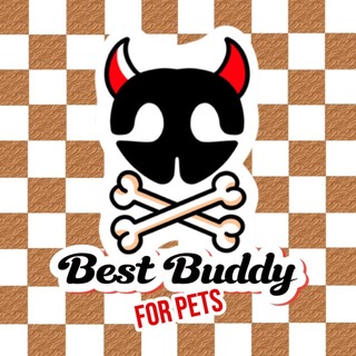 Telegram profile photo for BESTBUDDY