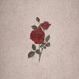 Telegram profile photo for رَقيقة