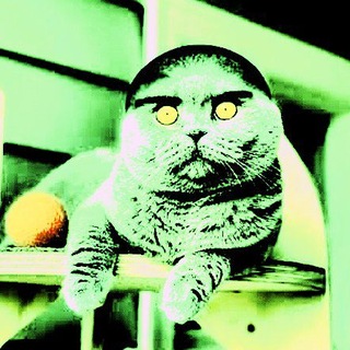 Telegram profile photo for АртемийРаша2002