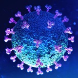 Telegram profile photo for CovidNews