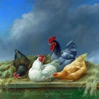 Telegram profile photo for 🔶آموزش مشاغل پر درآمد کشور🦆🔶
