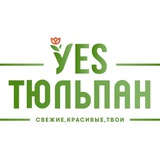 Telegram profile photo for Тюльпаны оптом Луганск🌷Yes Тюльпан