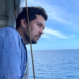 Telegram profile photo for tokarev.live