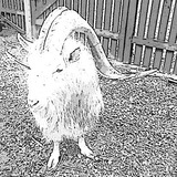 Telegram profile photo for Белорусский Сатанист
