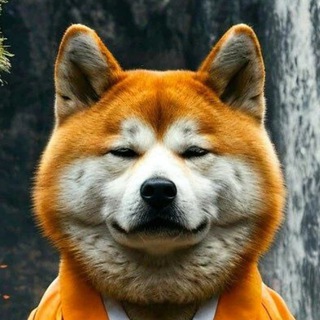Telegram profile photo for Cryptorus_dex