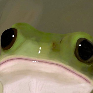 Telegram profile photo for gift frog✨