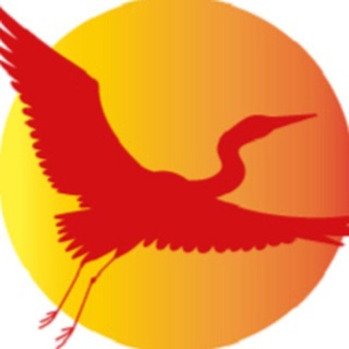 Telegram profile photo for Trochando Sin Fronteras