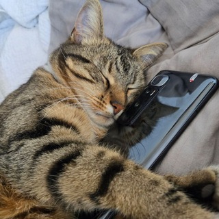Telegram profile photo for Fail_Good теч ток