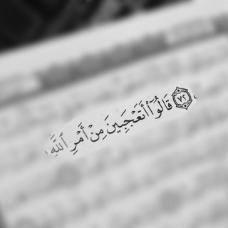 Telegram profile photo for علامات اليونسيون ♥