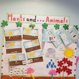 Telegram profile photo for In Kindergarten