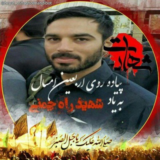 Telegram profile photo for 🌹شهیدابوالفضل راه چمنی 🌹