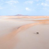 Telegram profile photo for حفصٌ