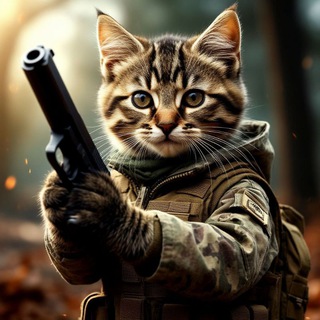 Telegram profile photo for BULLDROP/standoffkot123
