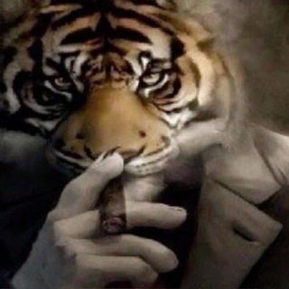 Telegram profile photo for Ryzen | Скупка/Продажа |