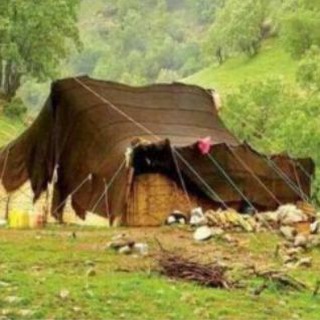 Telegram profile photo for آوای لرستان