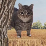 Telegram profile photo for Чеки somener&thnc