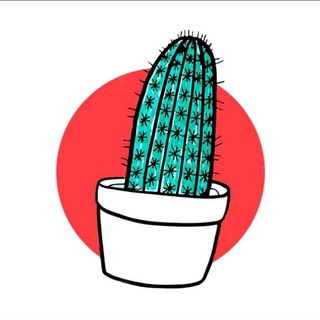 Telegram profile photo for Plan C
