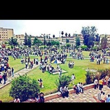 Telegram profile photo for اخبار جامعة الموصل