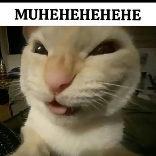 Telegram profile photo for Свободный рекламщик😚