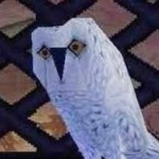Telegram profile photo for В гостях у Дорин 🦉