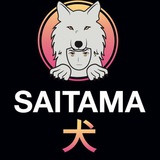 Telegram profile photo for DexRocket SAITAMA