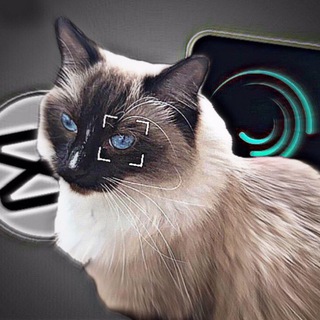 Telegram profile photo for GabyaFan💘✨