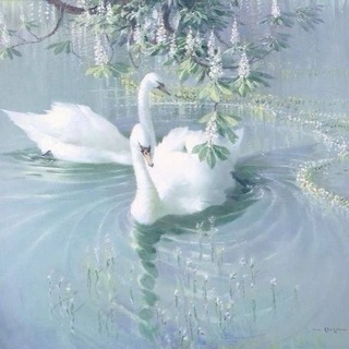 Telegram profile photo for . 🦢