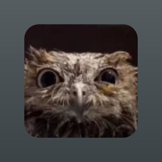 Telegram profile photo for sova