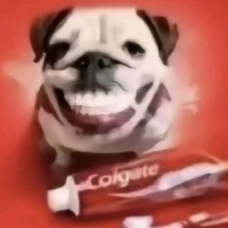 Telegram profile photo for лучшее название