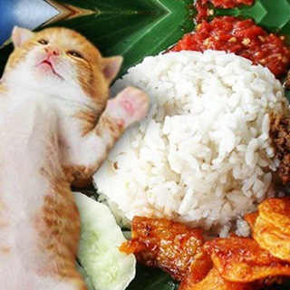 Telegram profile photo for 🌷KOLEKSI RESEPI MASAKAN🌷