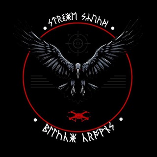 Telegram profile photo for Черные Вороны