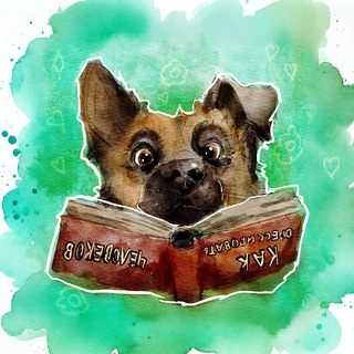 Telegram profile photo for Оплата у кинолога не прошла