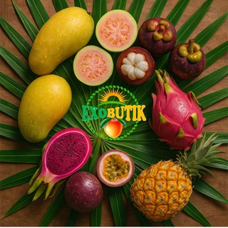 Telegram profile photo for Exobutik