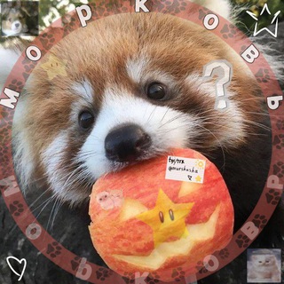 Telegram profile photo for морковка рисуе-🖌️