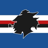 Telegram profile photo for Inside Sampdoria ⚪️ 🔵