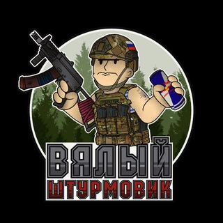 Telegram profile photo for Вялый штурмовик